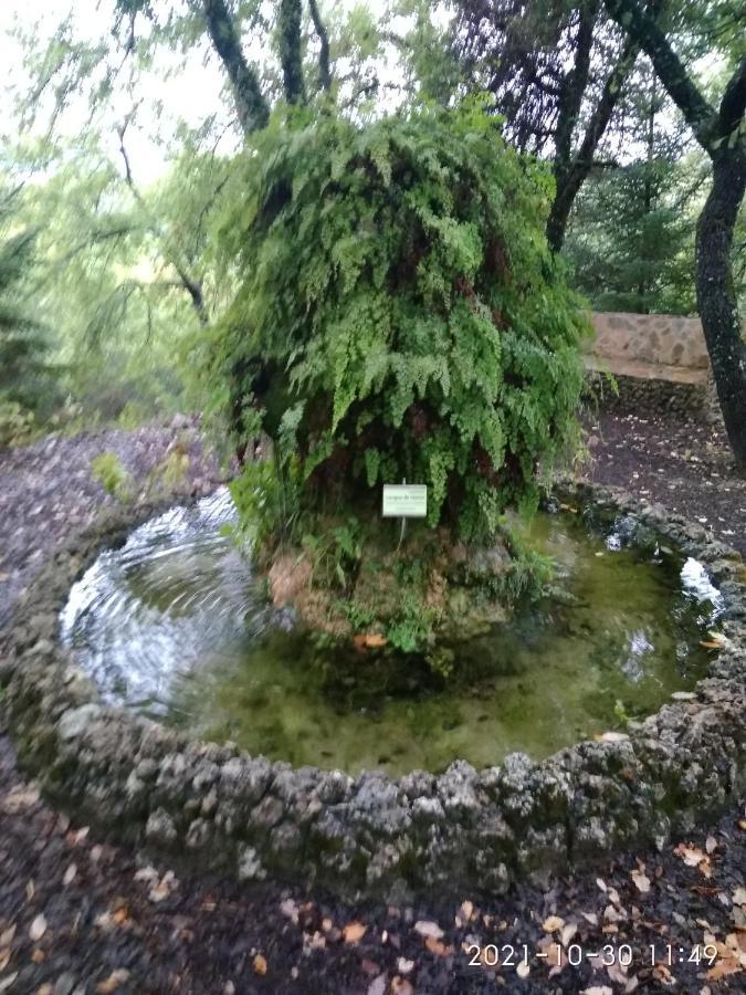 Apartamento Casa Romero El Bosque Dış mekan fotoğraf